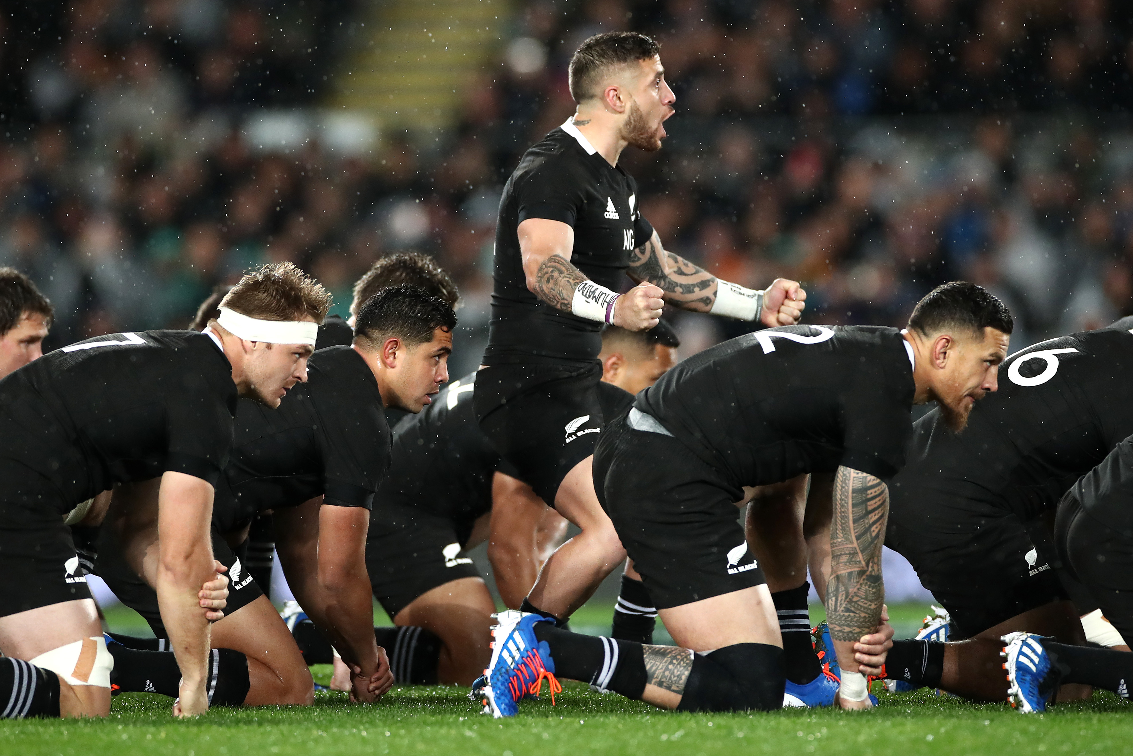 All Blacks 2025 Schedule Denni Felicia