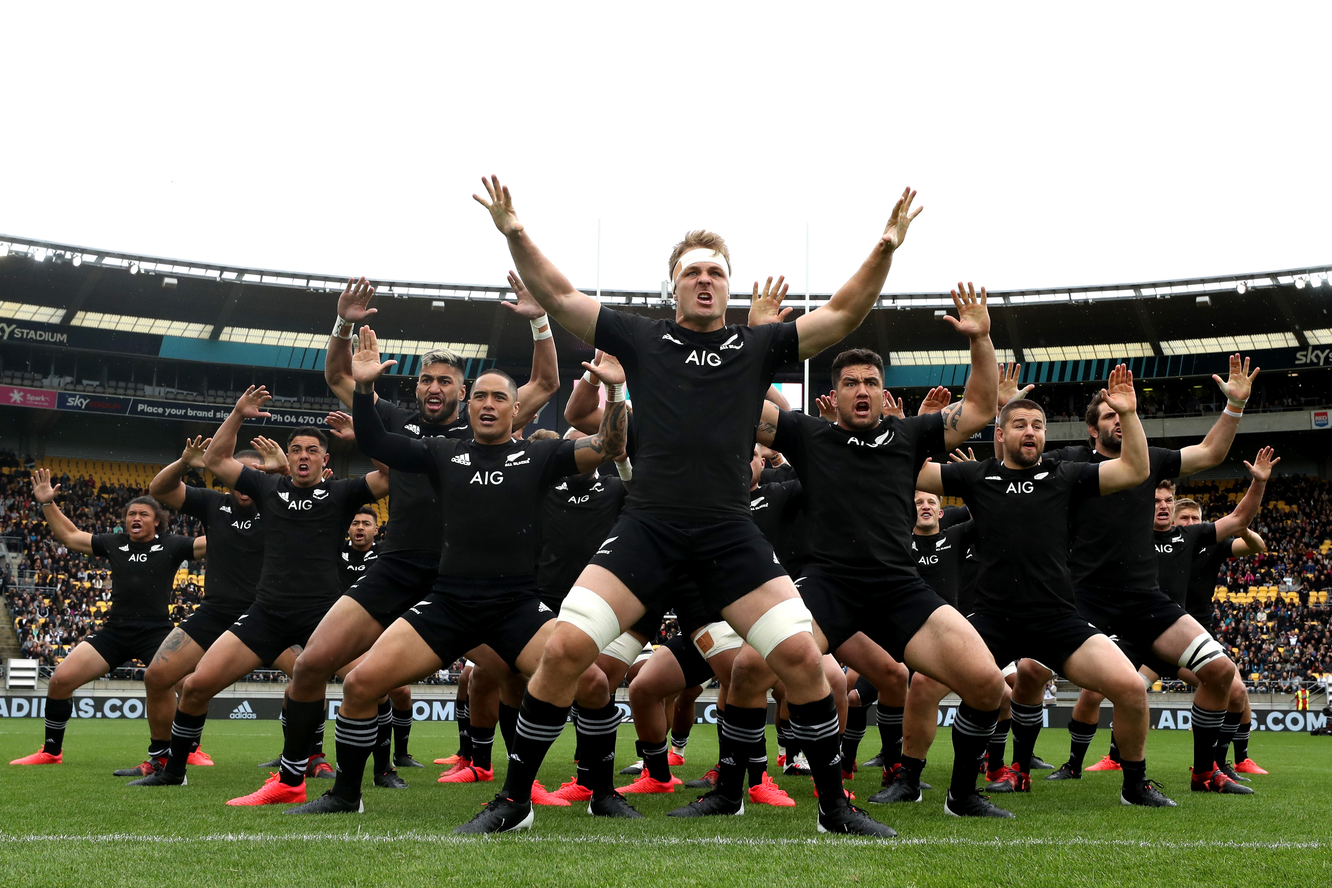 all blacks game today