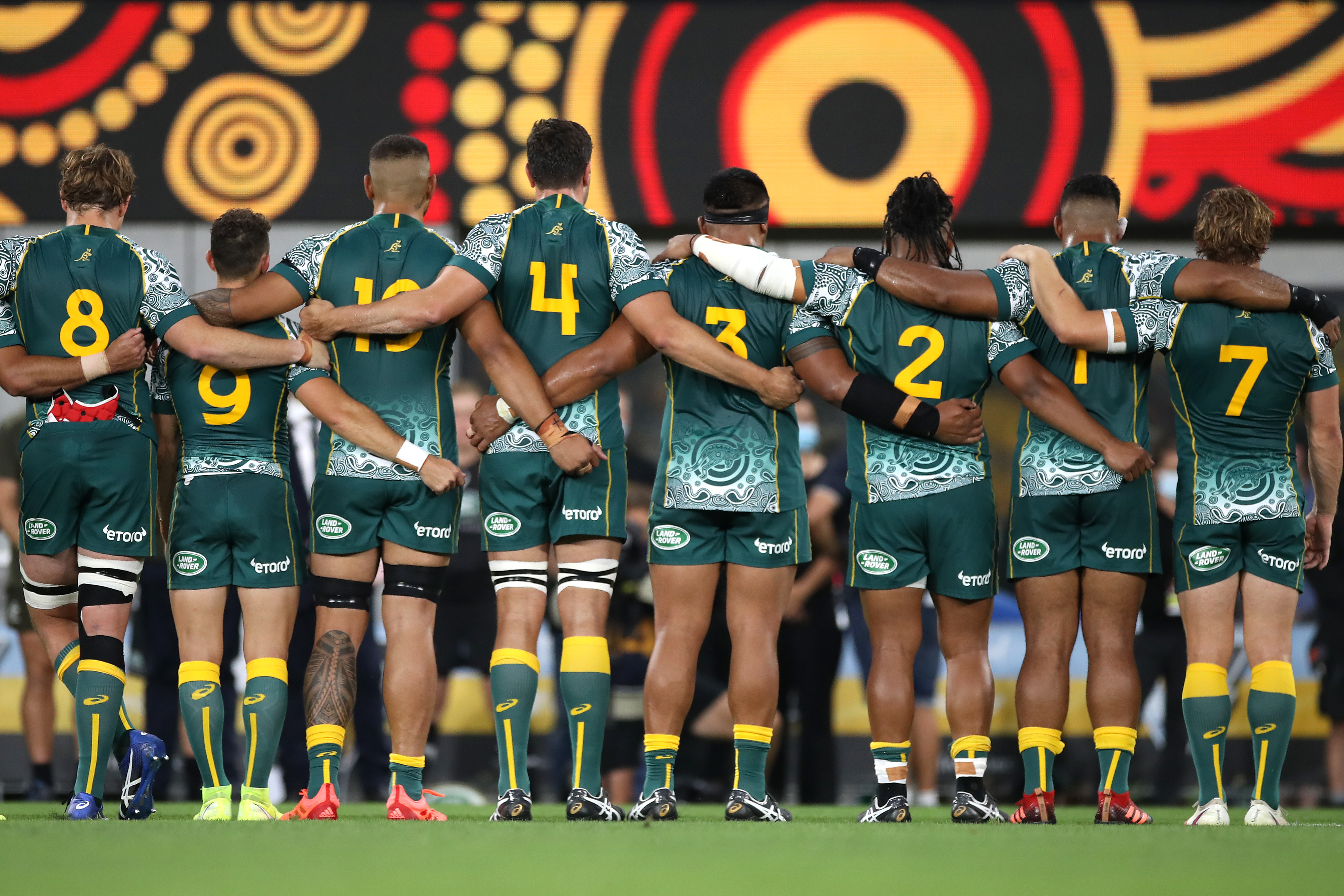 Wallabies rugby sales
