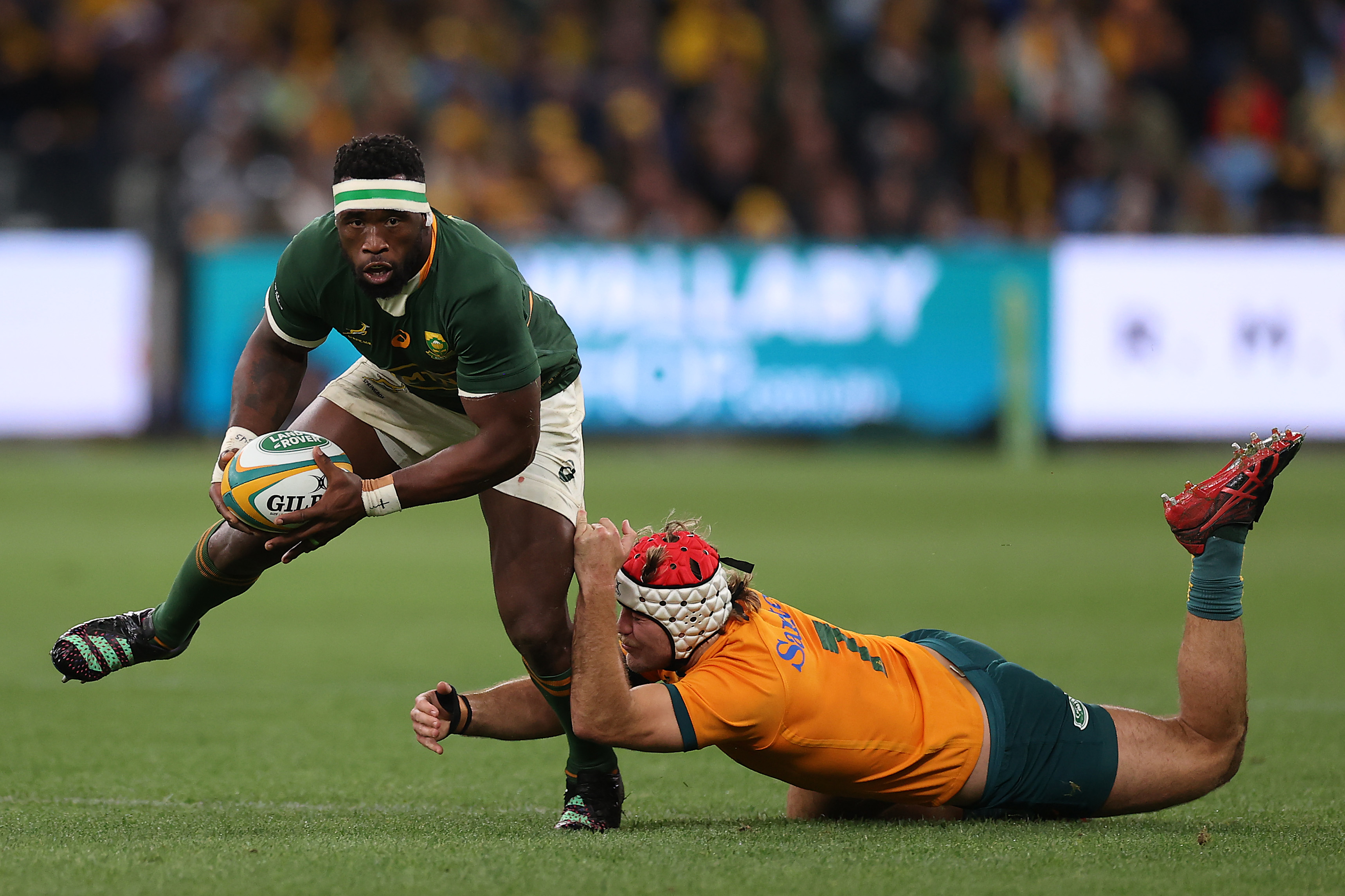 Kolisi confident of return for Rugby World Cup » allblacks