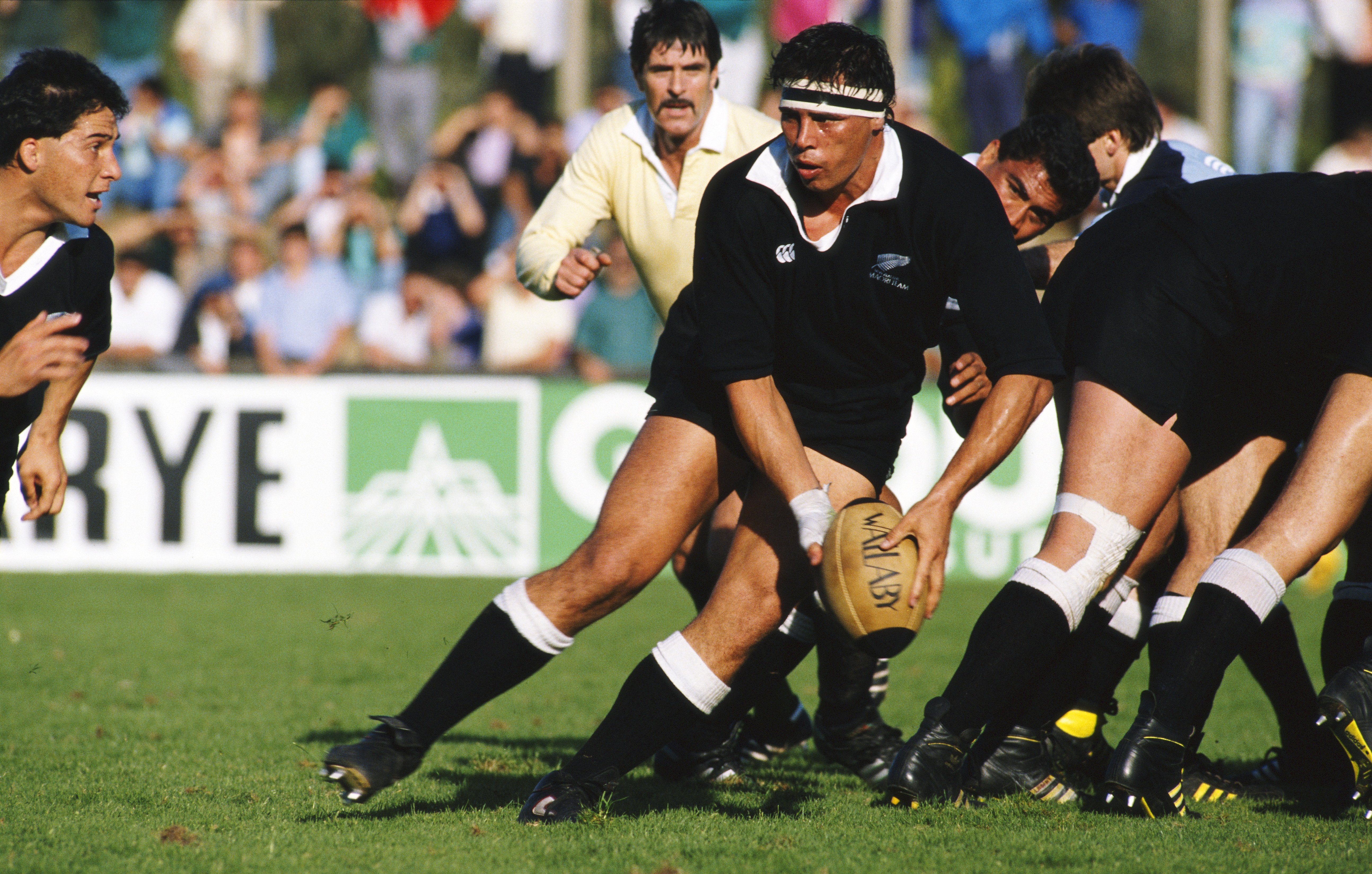 Is Wayne Shelford the hardest man to play rugby? » allblacks