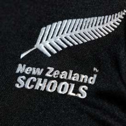 NZ Schools logo on jersey 1566174660