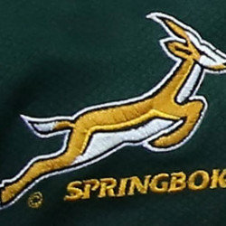Springbok 1582053561