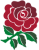England