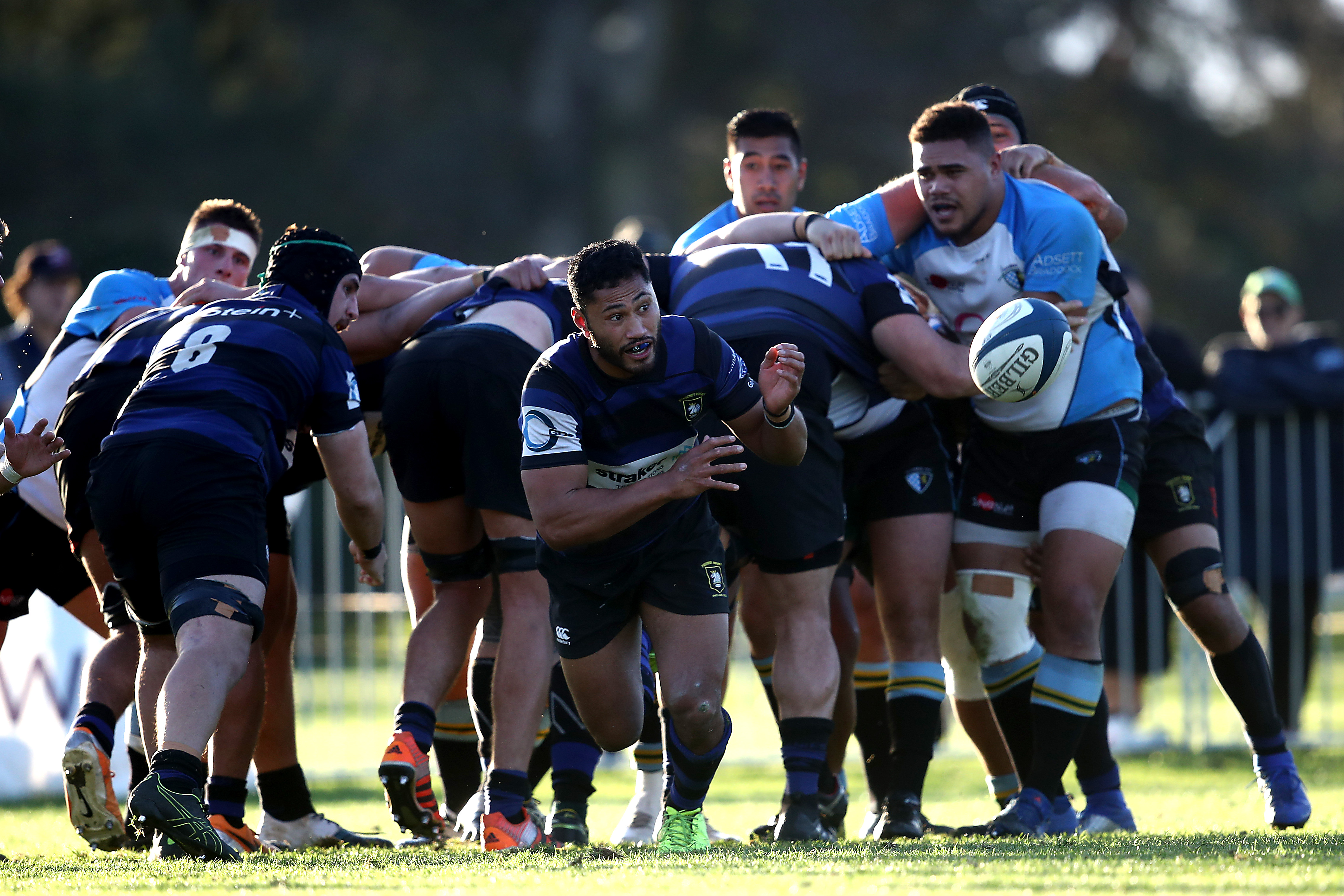 Club Rugby In New Zealand To Be Postponed Free Nude Porn Photos