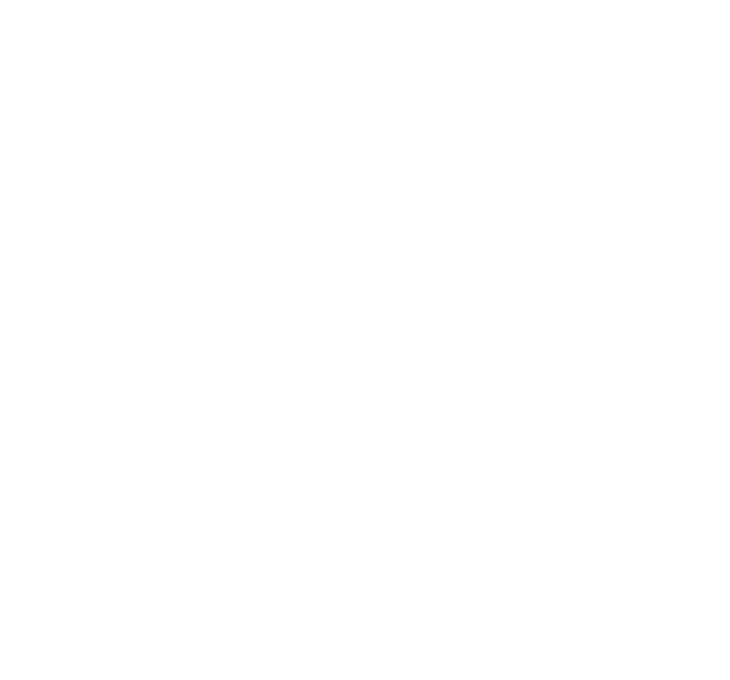 NZ Schools Logo Reverse