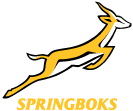 Springboks 1