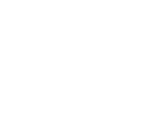 All Blacks XV Logo Reverse