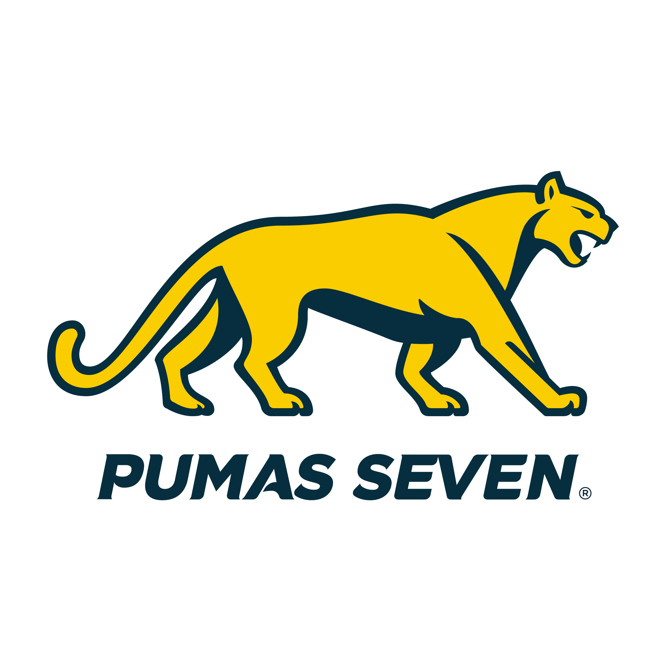 Logo Seven