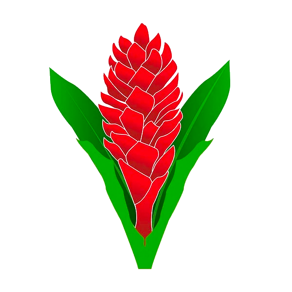 Manusina XV
